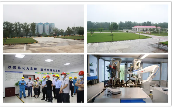 918²©ÌìÌÃ(ÖйúÇø)¼¯ÍÅ